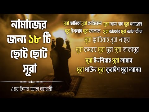 Sochli yosh mushuk surati Sochli yosh mushuk surati