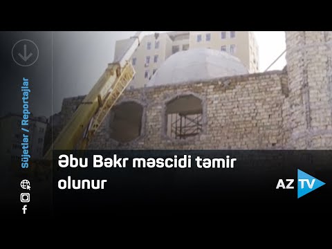 Video: Siyənək qağayısı: Təsvir, çoxalma və maraqlı faktlar