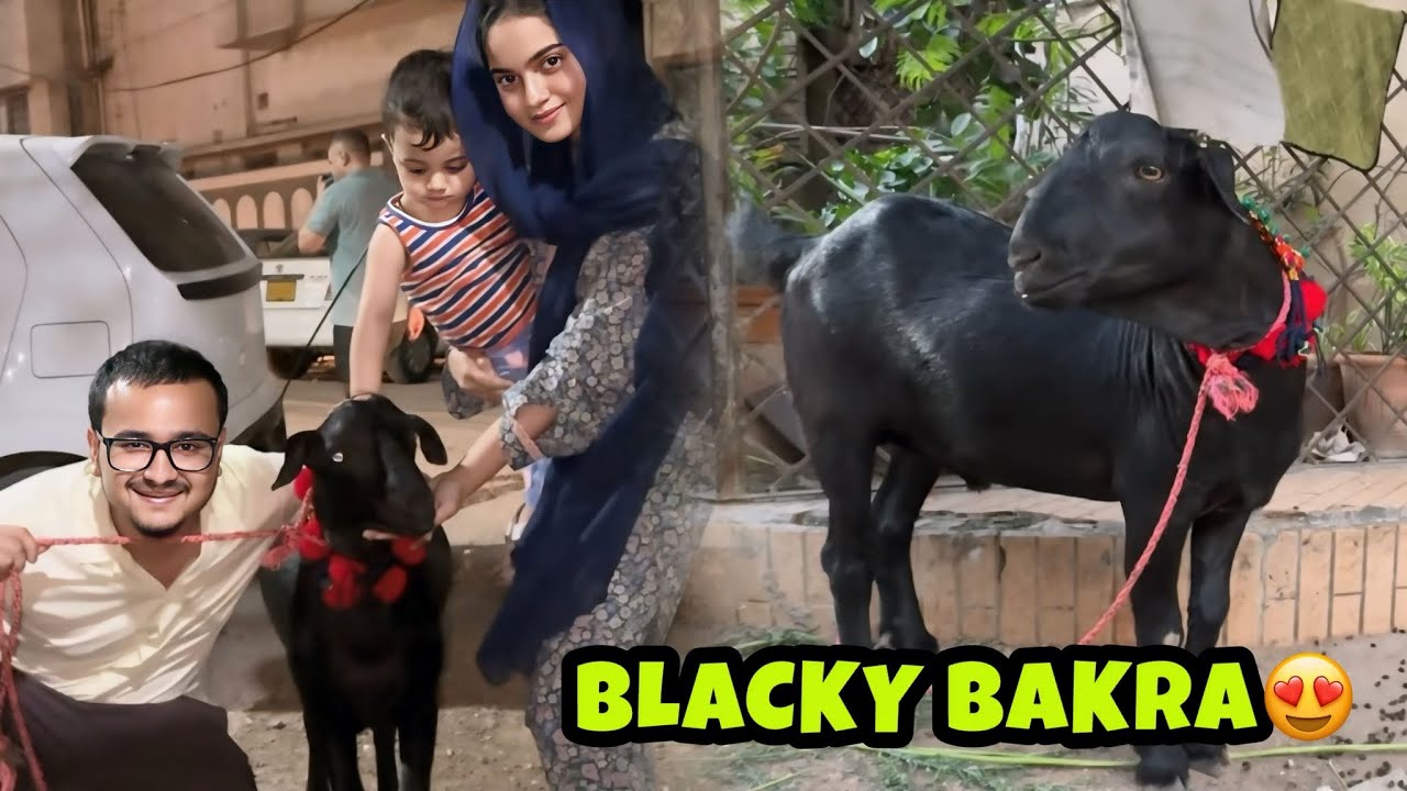 ALHAMDULILLAH yusra ki pasand ka bakra khareed liya😍soda bohot mushkil sy bana🥹🥰
