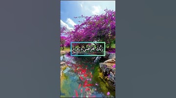 سورة الضحى-القران الكريم