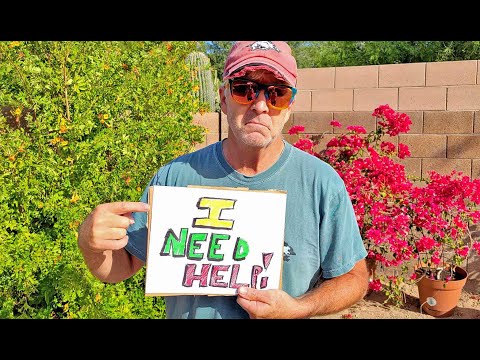 I need help!!! 🤪
