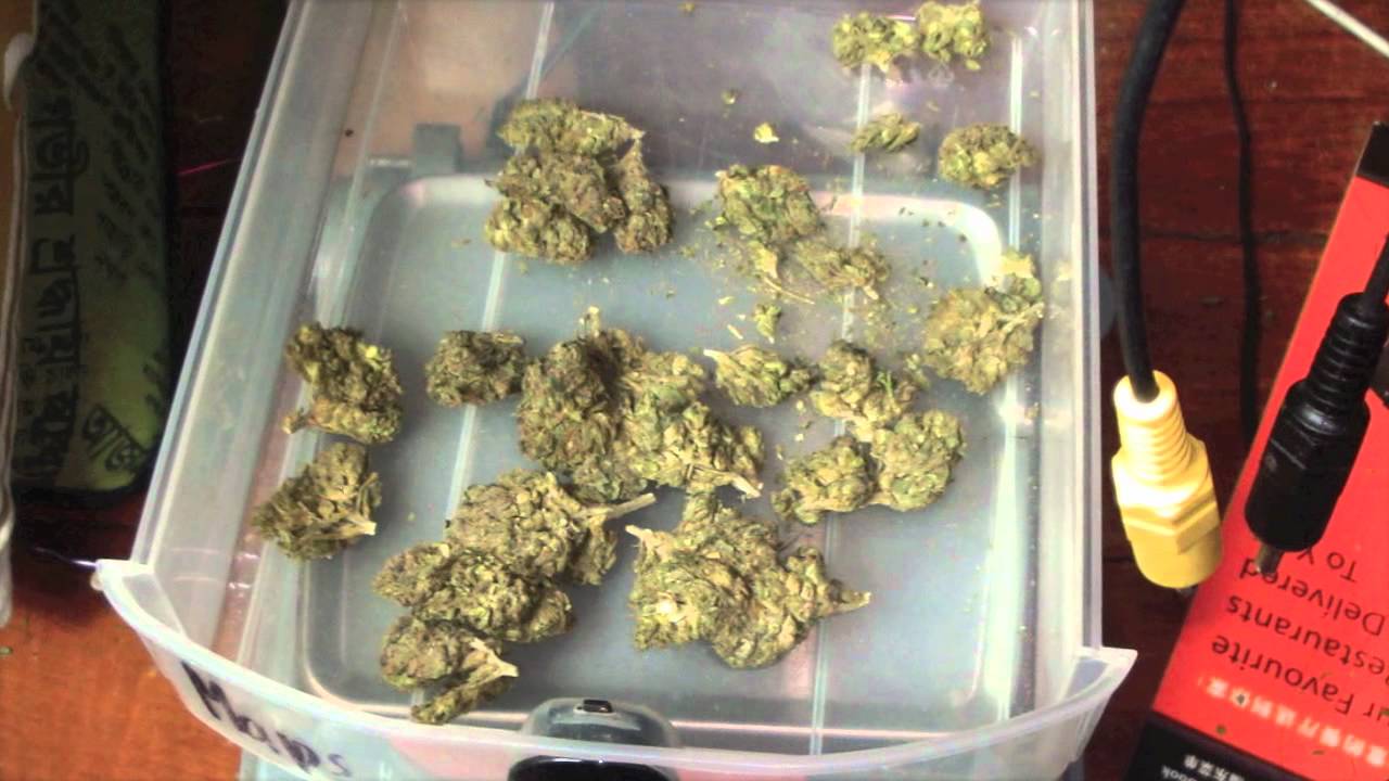 Cheap Dank Weed + Homemade Kief Hash