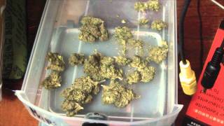 Cheap Dank Weed + Homemade Kief Hash