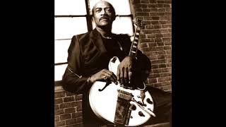 Jimmy Dawkins - You Got It Baby