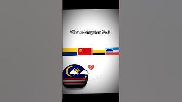 What Russian See about Malaysian States #country #countryballs #animation #shortvideo #edit #memes