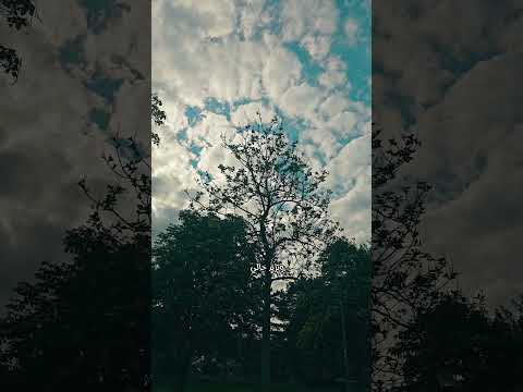 إليك الم شتكى لا منك رب ي وأنت لحاد ثات الدهر حسبي