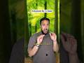 Bear attack caught on camera #comedy #funny