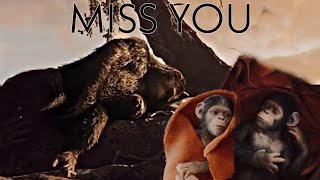 Caesar death planet of the apes sad status emotional death Ceasar life Andy serkis shorts