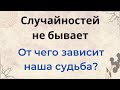 От чего зависит наша судьба? Случайностей не бывает.