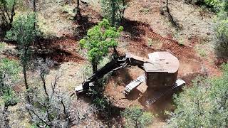 Northern California northern lights steam engines tree falling