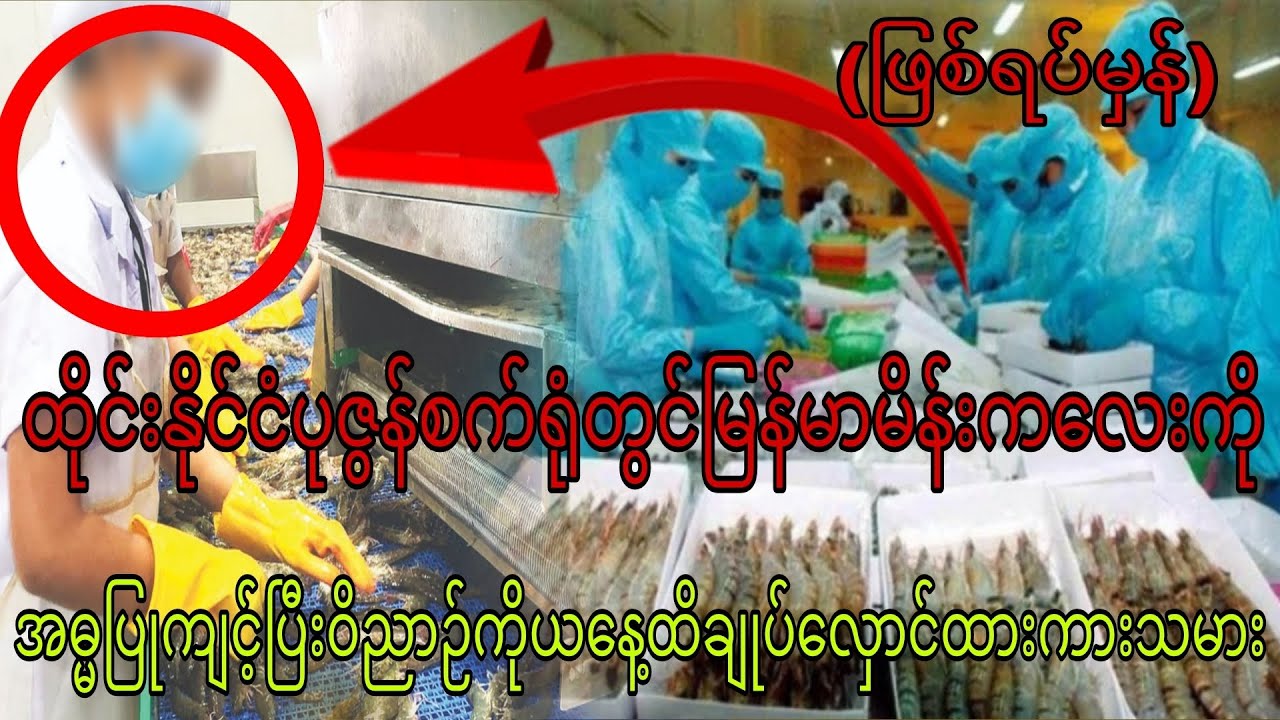 ထိုင်းနိုင်ငံပုစွန်စက်ရုံတွေမြန်မာမိန်းကလေးကိုအဓမ္မပြုကျင့်ပြီးဝိညာဉ်ကိုယနေ့ထိချုပ်လှောင်ထားသူ