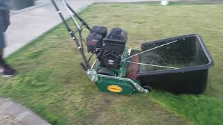 Reel Mowing Romo California Trimmer scalping lawn to get ready for Rye grass seed  9.28.18