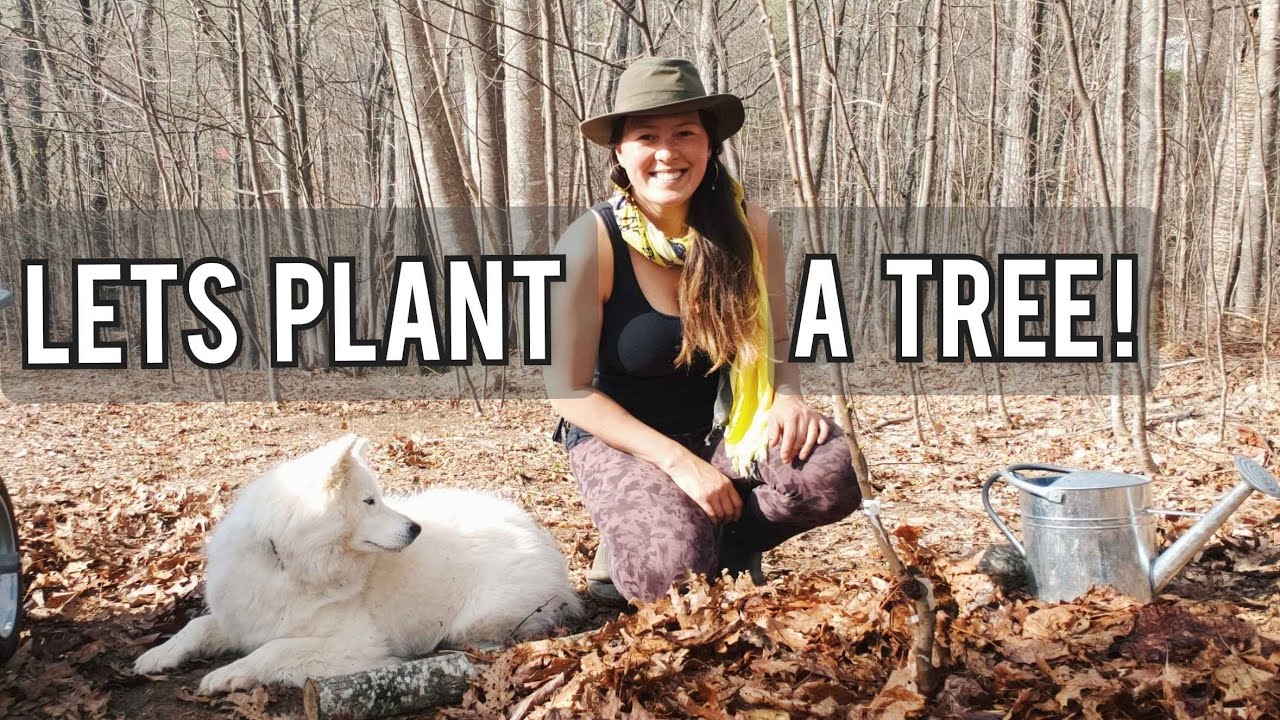 Strand Farm | Plant a Tree with Me - Off Grid Homestead