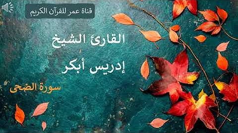 093 سورة الضحى القارئ الشيخ إدريس أبكر