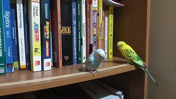 Math Olympiad for India and USA