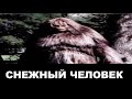 СНЕЖНЫЙ ЧЕЛОВЕК #снежныйчеловек #йети #бигфут