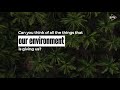 World environment day 2020  dive media  entertainment