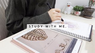 의대생 Study with me | 같이 공부해요! 저는 해부학 공부할게요 🫁 (50분, 음악X)