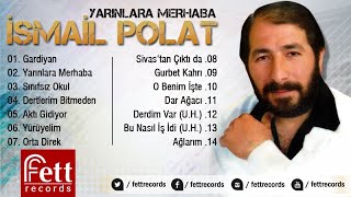 İsmail Polat - Aktı Gidiyor Resimi