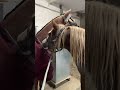 Знакомство лошадки с манекеном 😂 #horses #mustang #природа #лошади #humor
