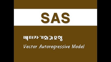 SAS를 활용한 시계열분석 - (9) 벡터자기회귀모형(VAR)(Vector Autoregressive Model)