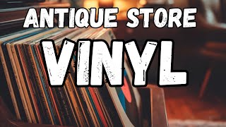 Download Lagu Digging for Antique Vinyl Records in Florence MP3 Download Lagu Digging for Antique Vinyl Records in Florence MP3