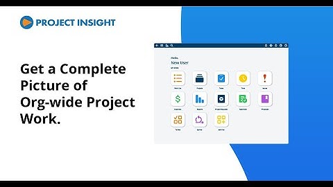 Project Insight Project & Portfolio Management Software