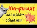 ❓Загадки-обманки ХИТРЮЩИЕ😉 про животных🐷🦁