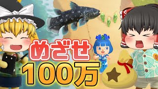 あつ森　アップデートに備えて目指せ100万ベル！収納にある不用品を売ったり、魚を釣ったり、素潜りをする【ゆっくり実況】