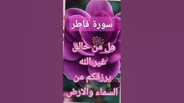 سورة فاطر #quran #دعاء #دويتو #صباحالخير #duet #دعاءمستجاب #تيك_توك #حالاتواتس #لايك #حالات_واتس