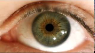 EYE MOVEMENT IN SLOW MOTION