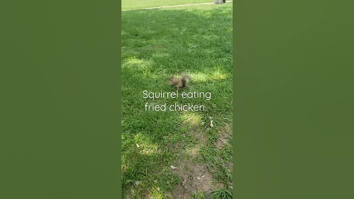 Animal lifestyle