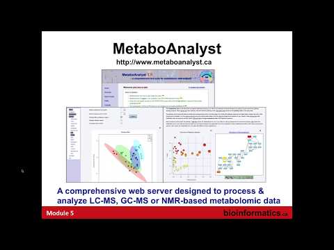 Metabolomic Data Analysis using MetaboAnalyst