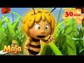 💣 Die tickende Honigbombe!  - Die Biene Maja🐝🍯🐝 - FULL COMPILATION