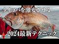 【最新タイラバ】釣果を伸ばす秘訣や差が出るポイントなど全てまとめました | ガッ釣り関西