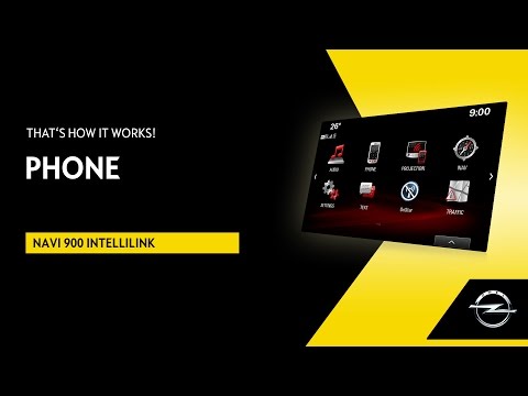 Navi 900 IntelliLink | Phone | That&rsquo;s How It Works!