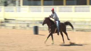 André Coelho X Winner