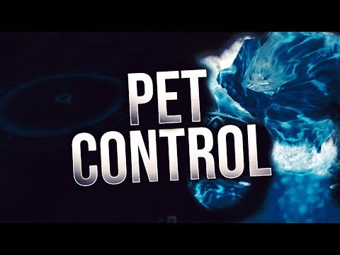 Xaryu BfA Pet Control Guide (Mage)!
