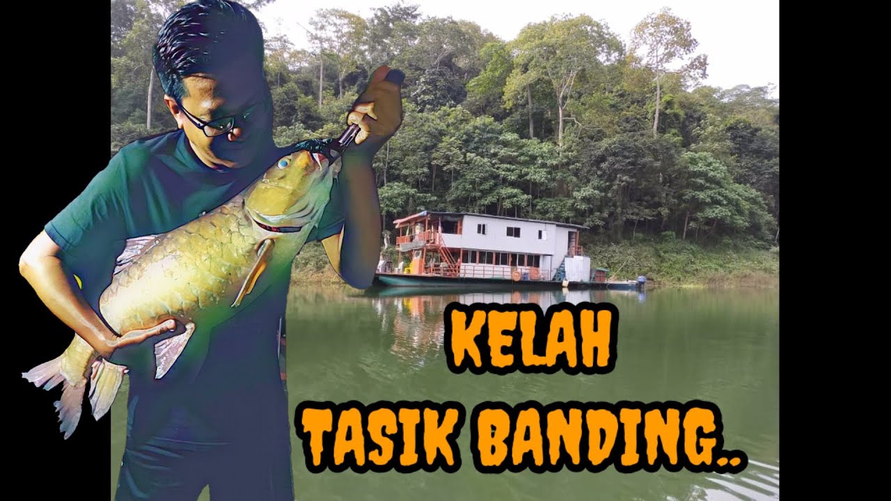 Pecah Rekod Pancing Kelah Tasik Banding Dari Atas Houseboat Royal Belum Perak Januari 2020 Youtube