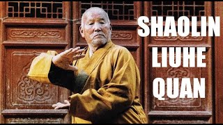 SHAOLIN SIX HARMONIES FIST LIUHE QUAN 六合拳