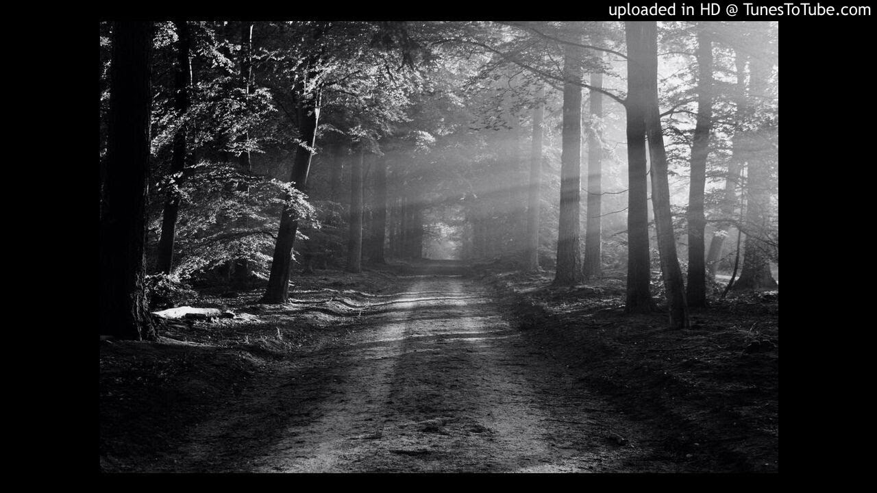 Maria durch ein Dornwald ging - Improvisation