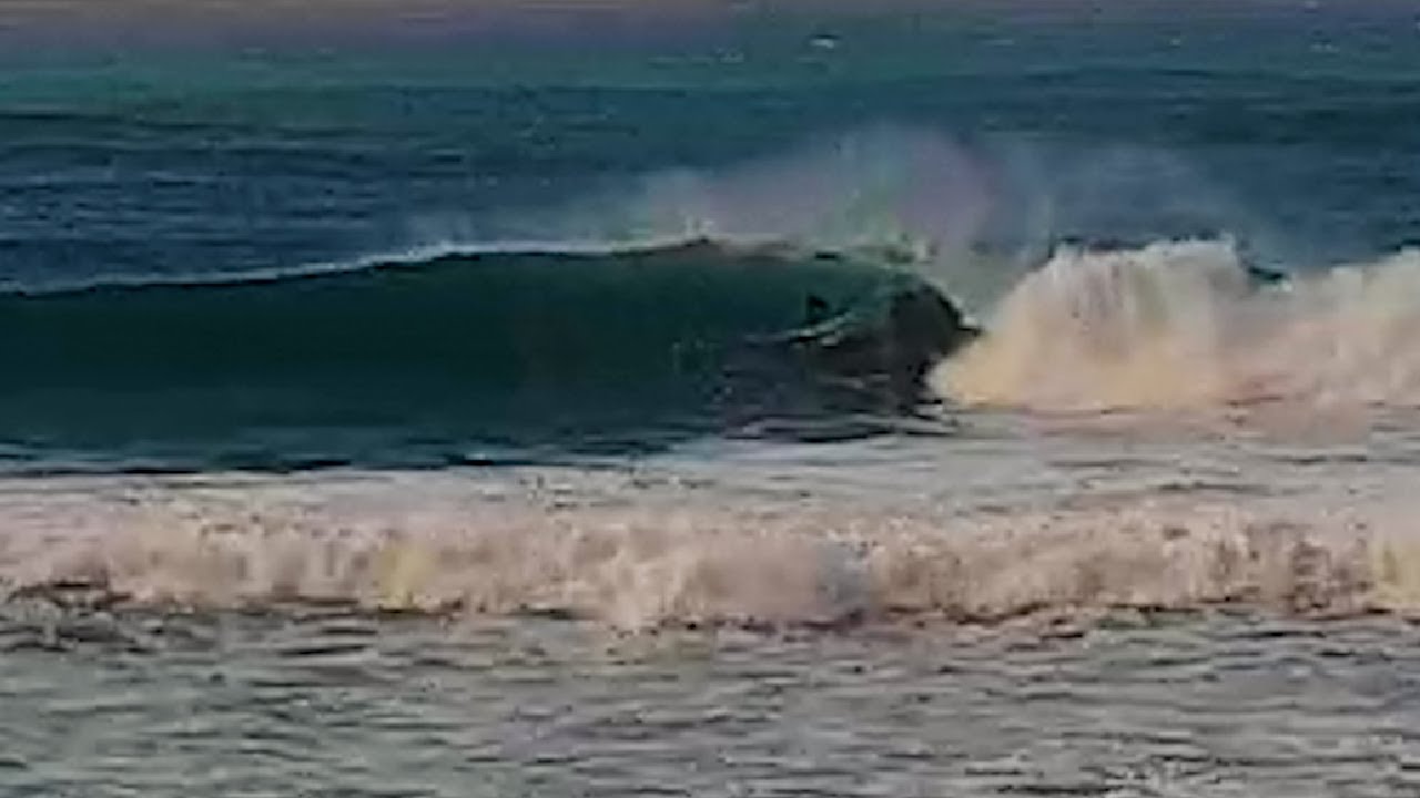 Clips