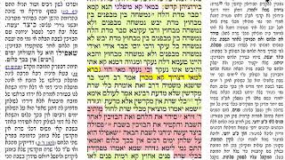מנחות דף צ 90 חמישי ל׳ חשון תשעט