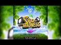 Soca madness 2020 by dj rusty g  2020 soca mix