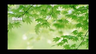 NGO Presentation | NGO Video | Video Presentation | Video Film