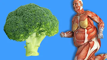 Wie stark ist Brokkoli belastet?