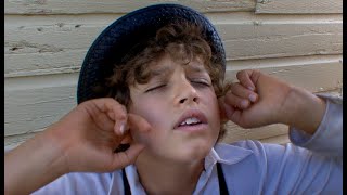 Strange and true Amish story Details