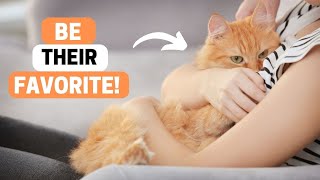 How Cats Choose Their FAVORITE Person!