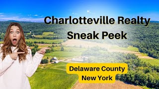 Sneak Peek! 200+ acres in Delaware County New York