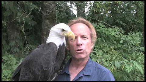 Jeff Guidry and His Eagle Named Freedom